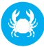 Crustaceos