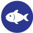 Pescado